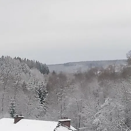 펜션 Salmchateau Gouvy